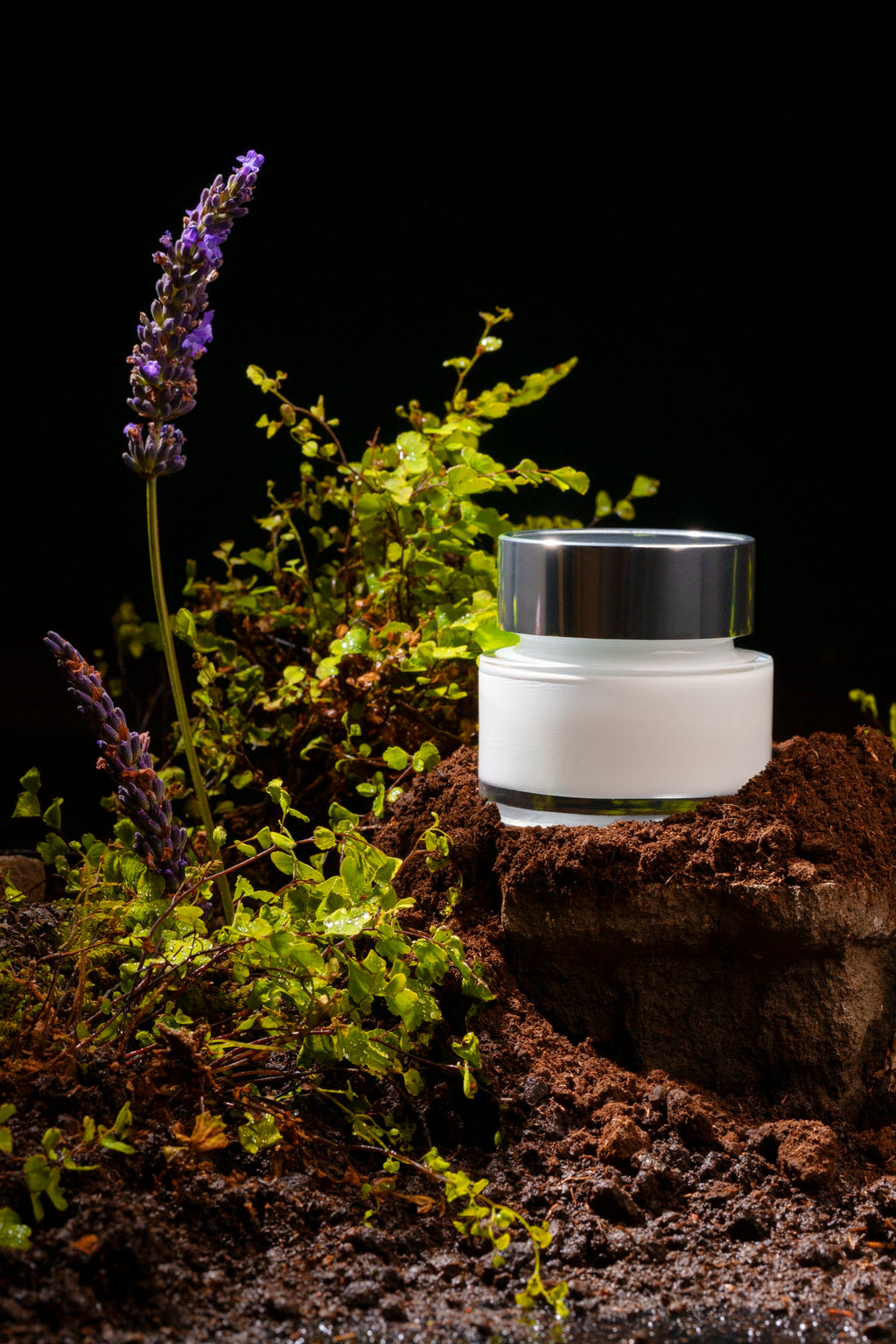 DewDrop Revitalizing Night Cream